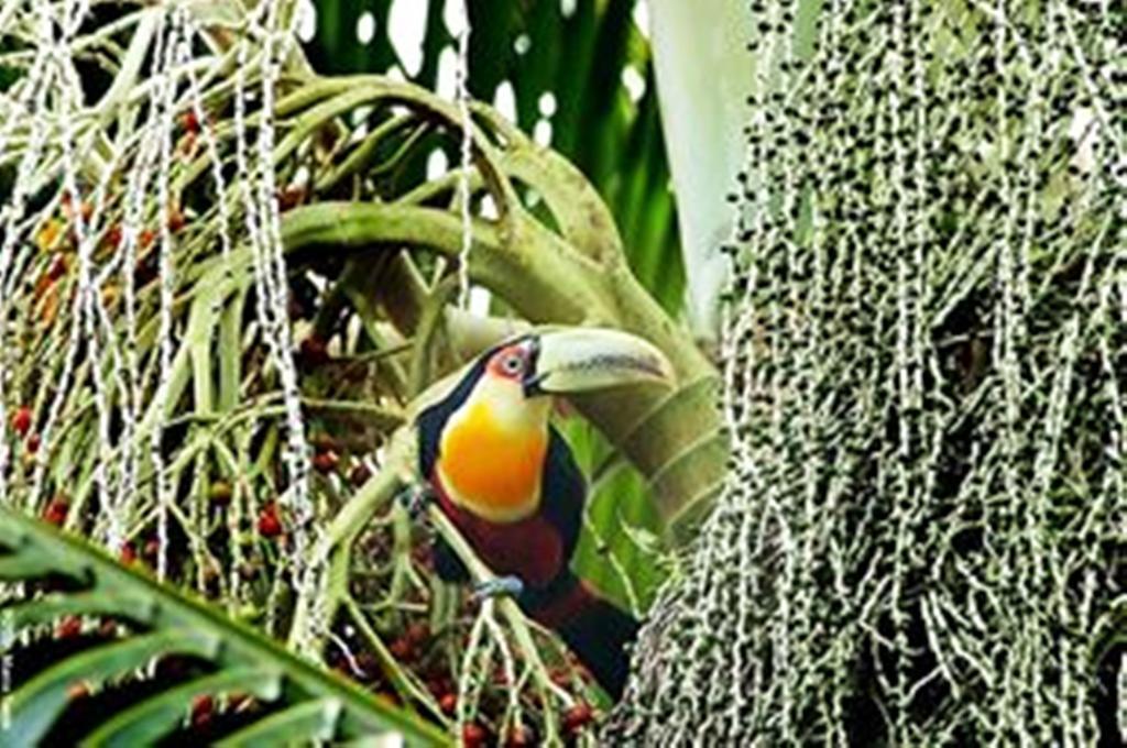 Pousada Montemar Ilhabela Luaran gambar